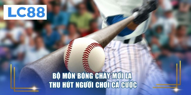 Bộ môn bóng chày mới lạ thu hút người chơi cá cược