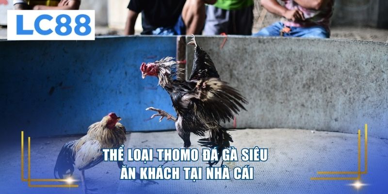 Thể loại Thomo đá gà siêu ăn khách tại nhà cái 